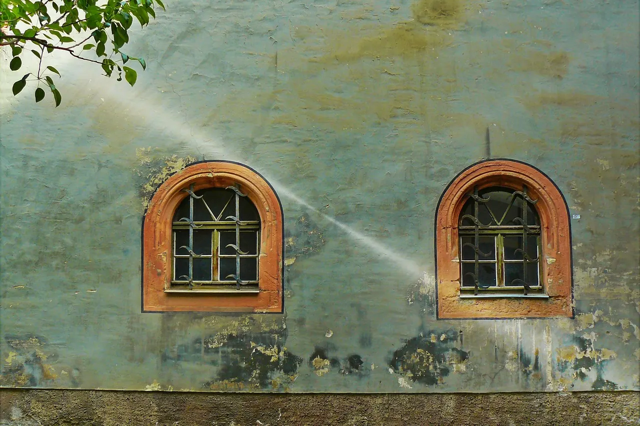 window, housewall, house facade, house front, facade, architecture, weathered, building, house, historic center, weimar, lattice windows, historical, old, grunge, to dye, color fla