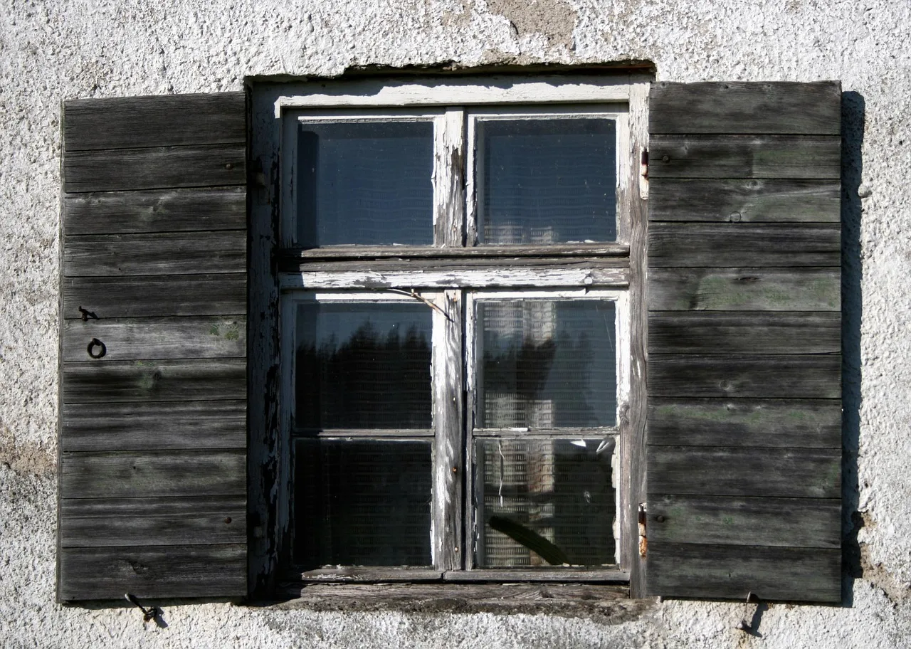 window, shutter, old, wall, green, wooden shutters, open, wooden windows, window bars, old window. Original wood windows compared for value, comfort and long-term fit