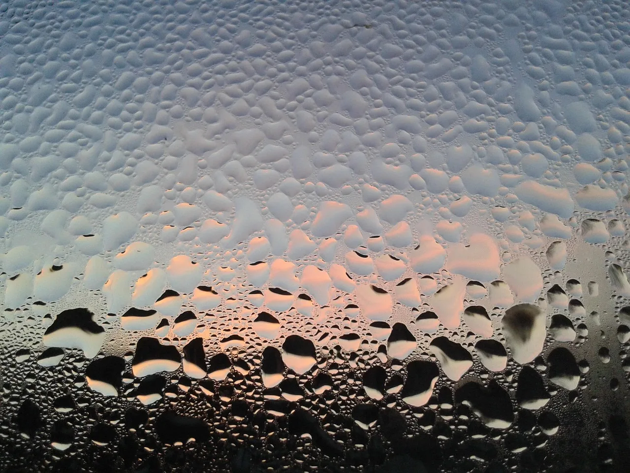 fitting, water, drops, steam, water vapor, waterdrop, disc, window, fog up, nature, condensation, wet, tears, warmth. Condensation on Original Wood Windows in Canada: Limits, Compromises and Repair Signals