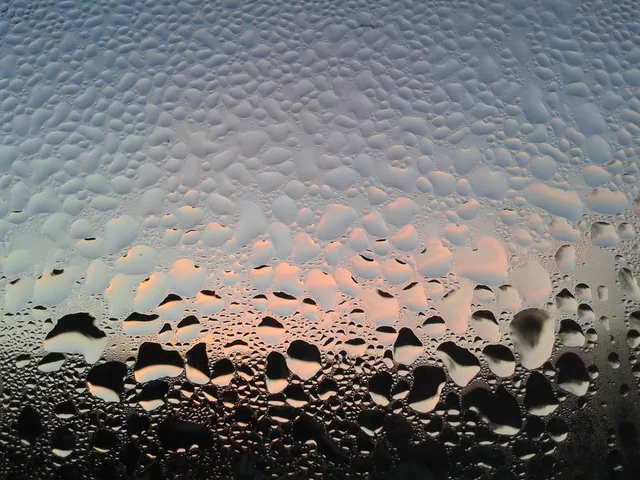 fitting, water, drops, steam, water vapor, waterdrop, disc, window, fog up, nature, condensation, wet, tears, warmth. Condensation on Original Wood Windows in Canada: Limits, Compromises and Repair Signals