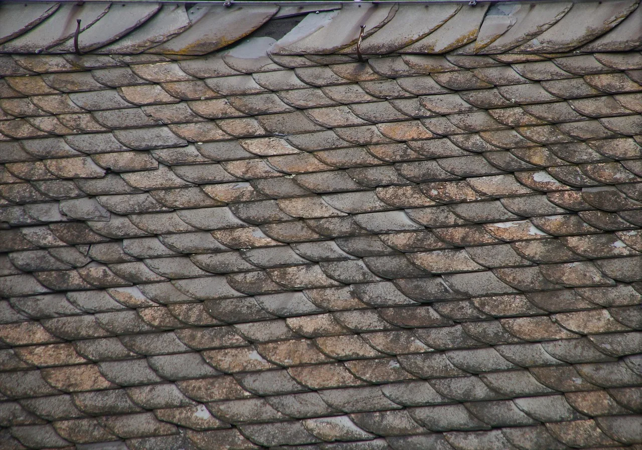 roof, roof renovation, old, weathered, damaged, slate, roofers, weather, insulate, craft, roof hook, slate roof, work, gable, house, winter, leaking, storm, thermal insulation. Restoration Costs Problems: Scope Drift, Allowances, Hazards