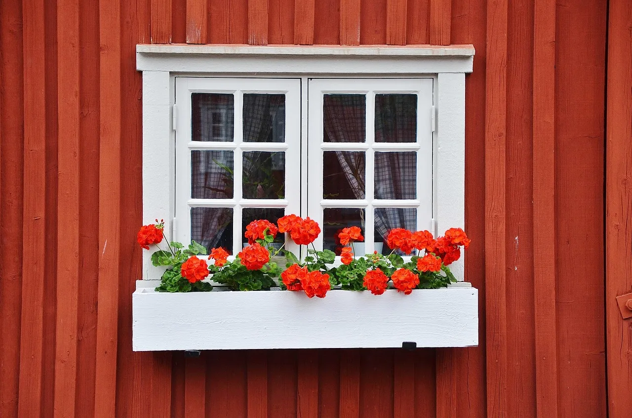 house, wooden, home, window, wood, glass. Original wood windows ideas for small houses