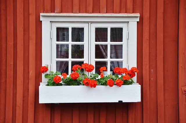 house, wooden, home, window, wood, glass. Original wood windows ideas for small houses