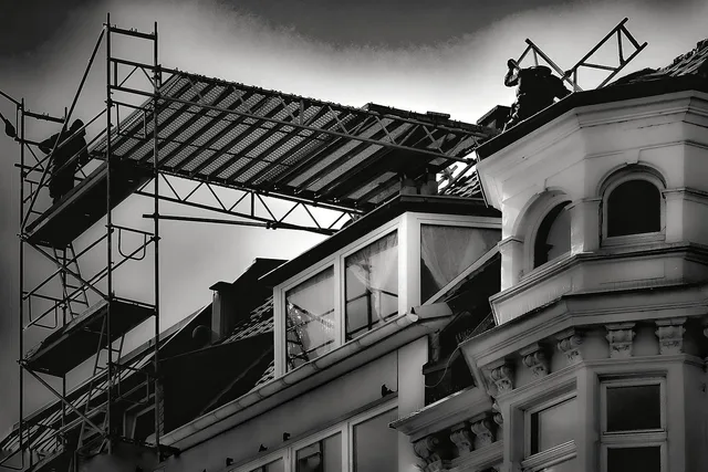scaffolding, craft, housebuilding, no fear of heights, height, architecture, increase. What can Canadians import from the US for restoration work?